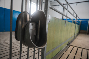 Bednings- og drektighetsavdeling. Asbjørn Storlien. Brumunddal 2025