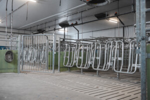 Bednings- og drektighetsavdeling. Asbjørn Storlien. Brumunddal 2025