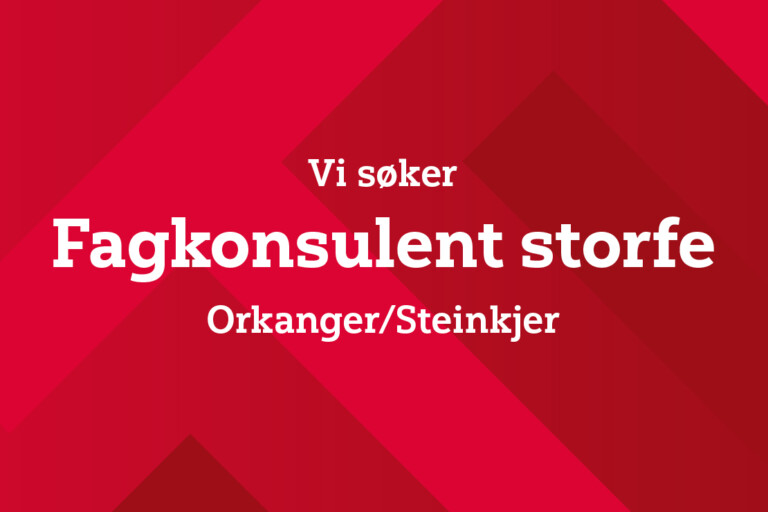 Fagkonsulent storfe