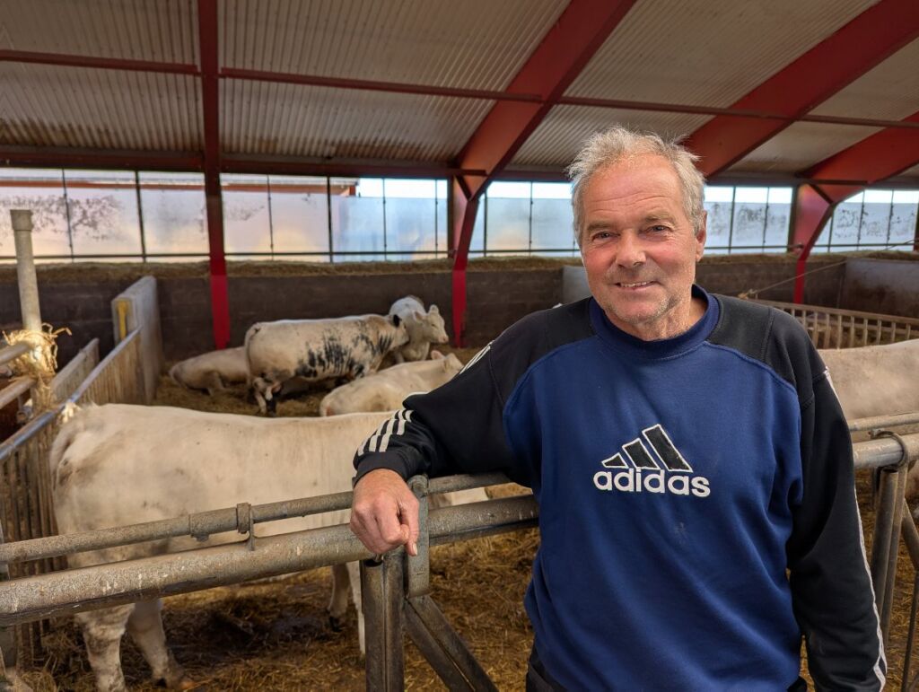 Håkon Marius Kvæken og Speckle Park. Foto: Dag Idar Jøsang, Norsk Landbruk
