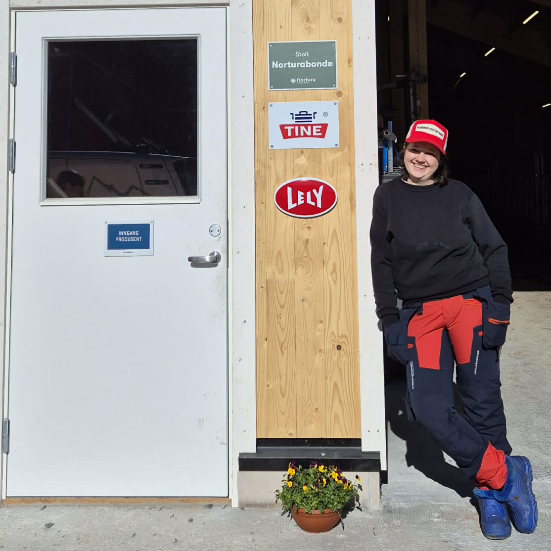 Løsdriftsfjøs i massivtre hos Roxana Stangebye