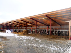 Svanhild og Espen Rode. Voss, 2026