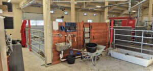 Roxana Stangebye. Sigdal, 2026