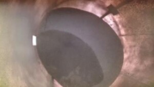 Silomonitor. Trøndelag, 2026