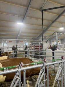 Lely A4 melkerobot. Tore Fuglestad. Bjerkreim, 2026