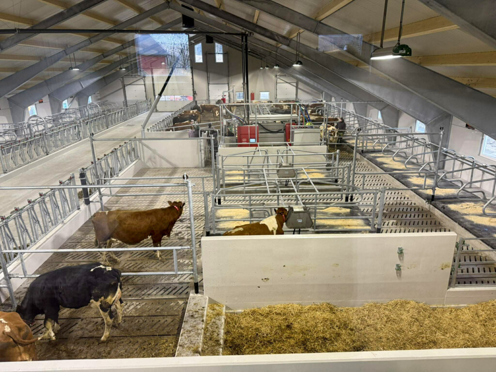 Tore Fuglestad. Bjerkreim, 2026