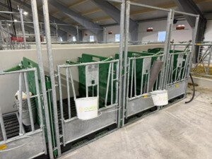 Jourdain. Tore Fuglestad. Bjerkreim, 2026