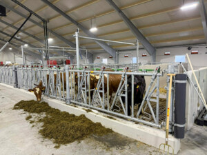 Tore Fuglestad. Bjerkreim, 2026