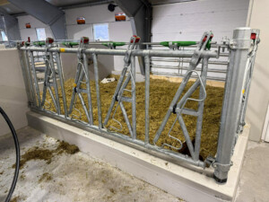 Jourdain. Tore Fuglestad. Bjerkreim, 2026