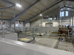 Tore Fuglestad. Bjerkreim, 2026