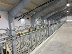 Jourdain. Tore Fuglestad. Bjerkreim, 2026