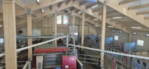 Roxana Stangebye. Sigdal, 2026