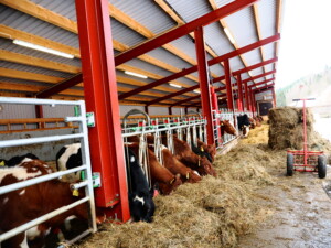 Svanhild og Espen Rode. Voss, 2026