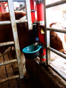 Frostsikre drikkekar fra Suevia hos Svanhild og Espen Rode. Voss, 2026