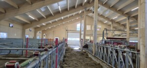 Roxana Stangebye. Sigdal, 2026