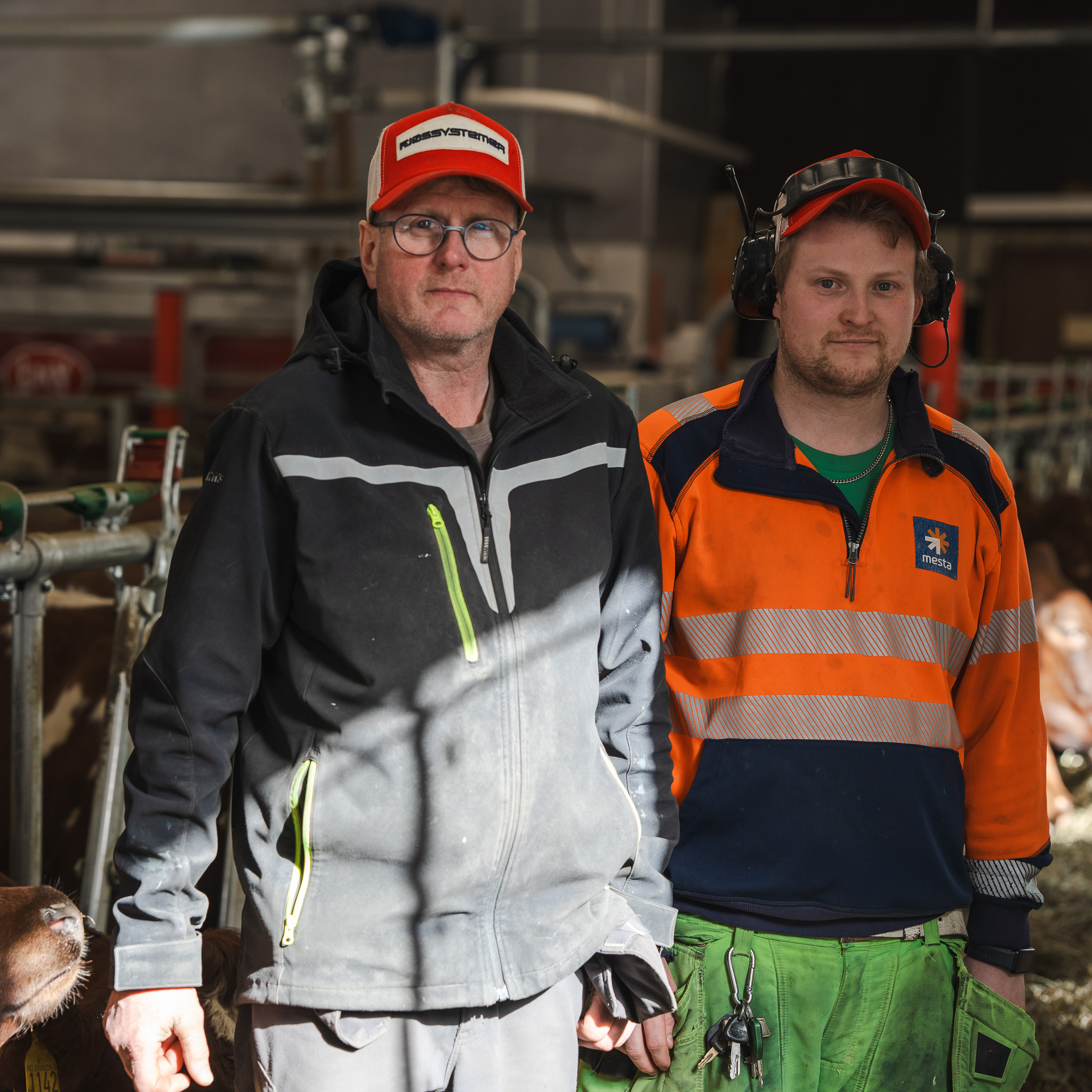 Første Lely A5 Next i Gudbrandsdalen på plass