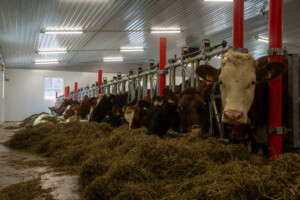 Svein Tore Sveen og Hanne Rugsveen Sveen. Vågå, mars 2026
