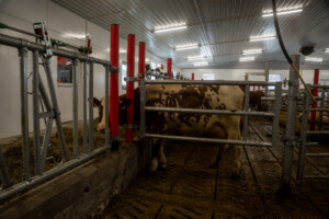 Svein Tore Sveen og Hanne Rugsveen Sveen. Vågå, mars 2026