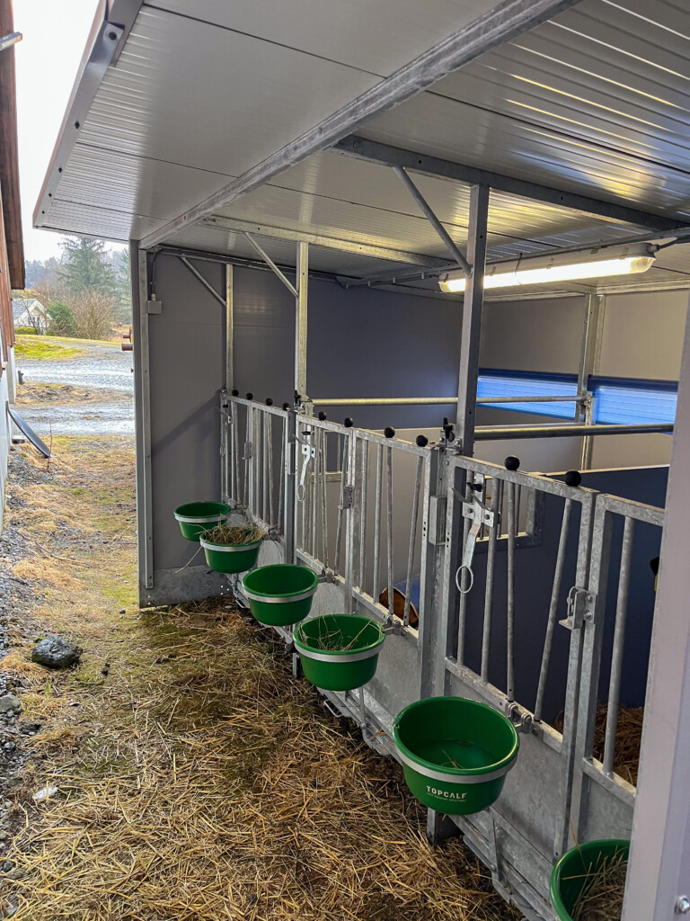 TopCalf Trio XXL Easy Clean kalvebokser hos Matskor Samdrift DA i Etne. Februar 2026