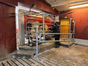 Seterdrift med mobil Lely Astronaut melkerobot i container