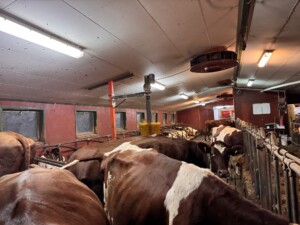 Seterdrift med mobil Lely Astronaut melkerobot i container