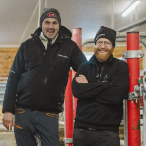 Effektiv melkeproduksjon og god dyrevelferd hos Østvang