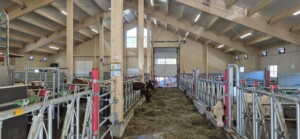 Roxana Stangebye. Sigdal, 2026