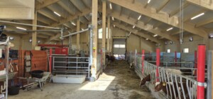 Roxana Stangebye. Sigdal, 2026