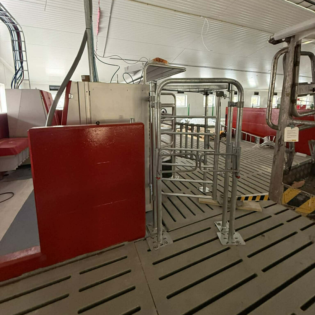 Sivert Solbakk. Skei i Jølster, 2026