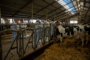 Lely Nederland, april 2026