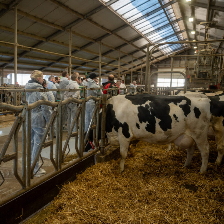 Lely Nederland, april 2026