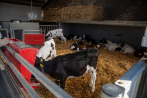 Lely Nederland, april 2026