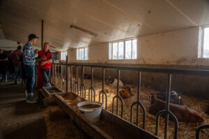 Lely Nederland, april 2026