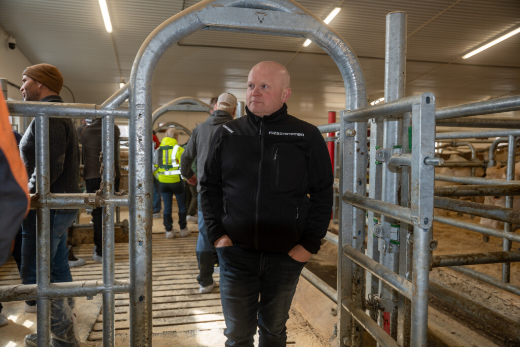 Arne Morten Borgenesset i ammekufjøset hos Anette og Terje Bakken Smestad.April 2026
