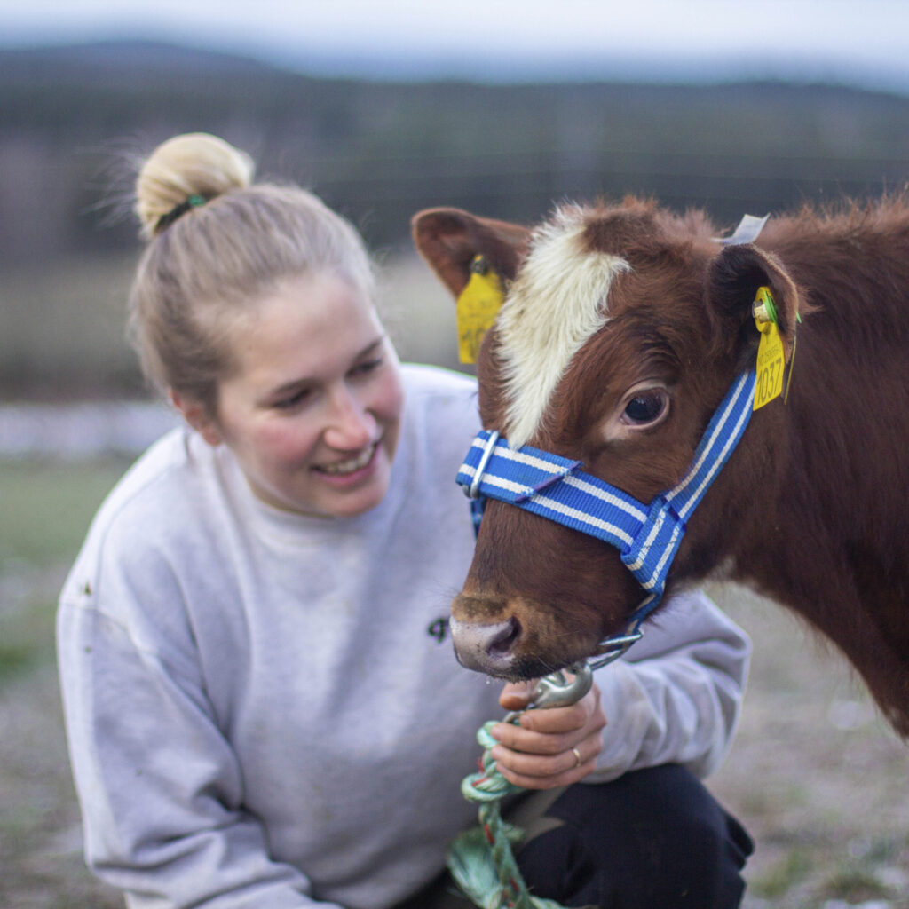Hanna Retzius Storlien, Geno