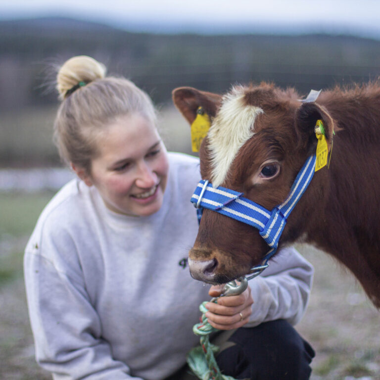Hanna Retzius Storlien, Geno