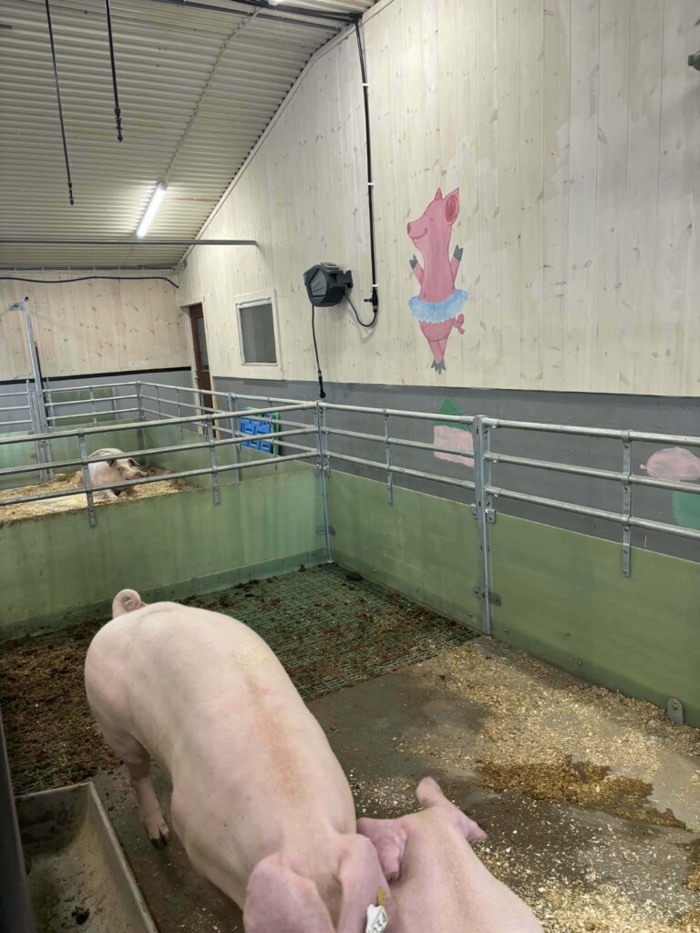 Kristin og Håkon Kvarving. Malvik 2026