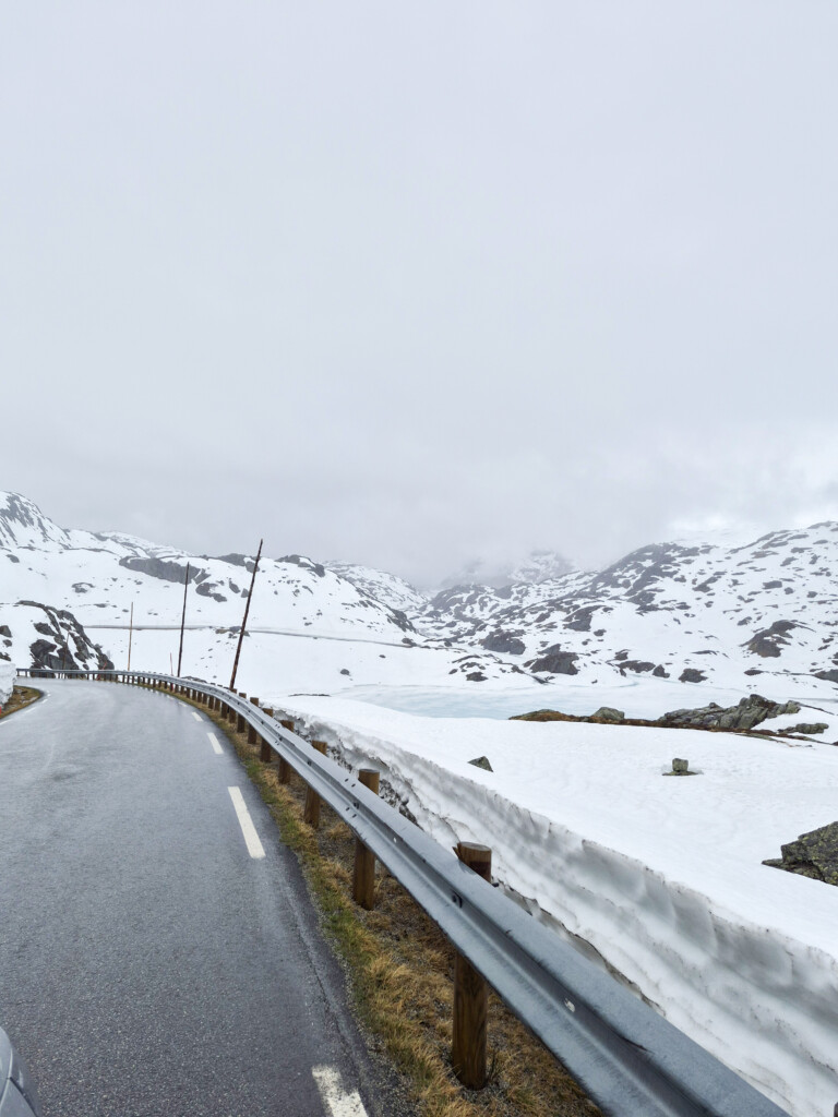 sau, sauefjøs, Voss, Hardanger, Røldal, Suldal, Hjelmeland, Jæren, Rennesøy. 2026