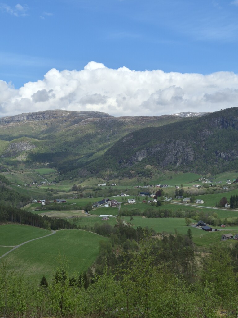 sau, sauefjøs, Voss, Hardanger, Røldal, Suldal, Hjelmeland, Jæren, Rennesøy. 2026
