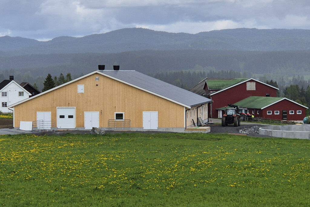 Fjøs i massivtre hos Odd Anders Svendsby, Vikersund. 2026