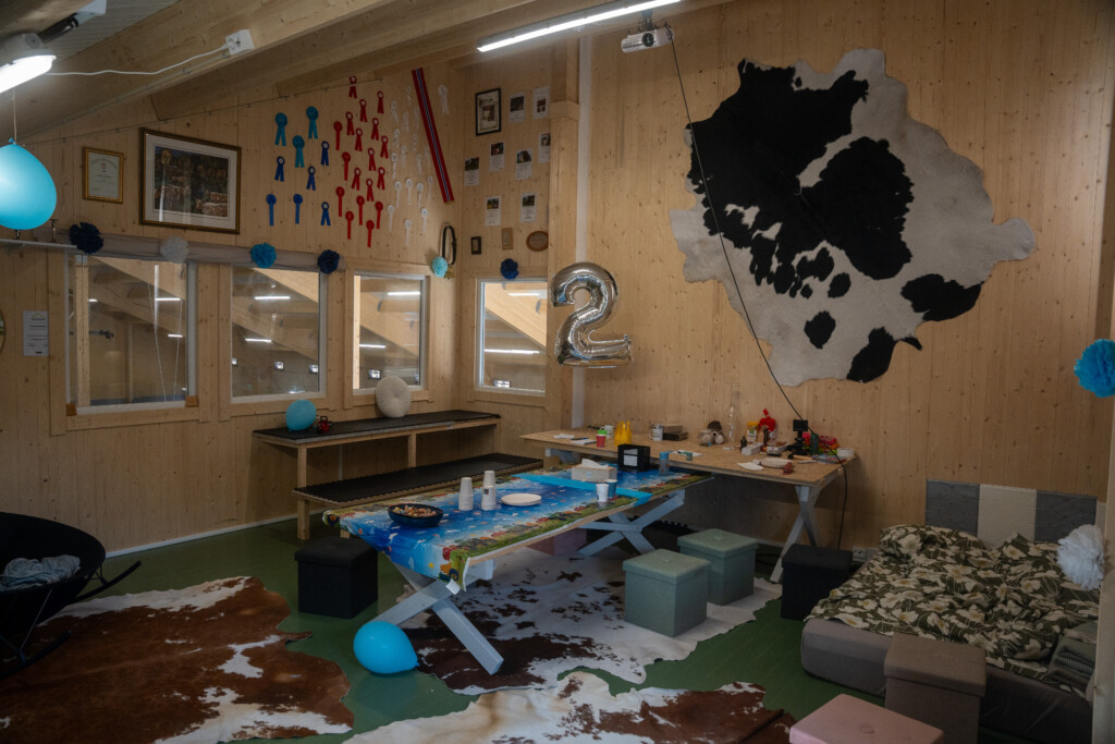 Åpent fjøs hos Roxana Stangebye. Sigdal, mai 2026