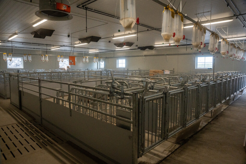 bedekningsbinger, smågrisfjøs, Val skoler, 2026