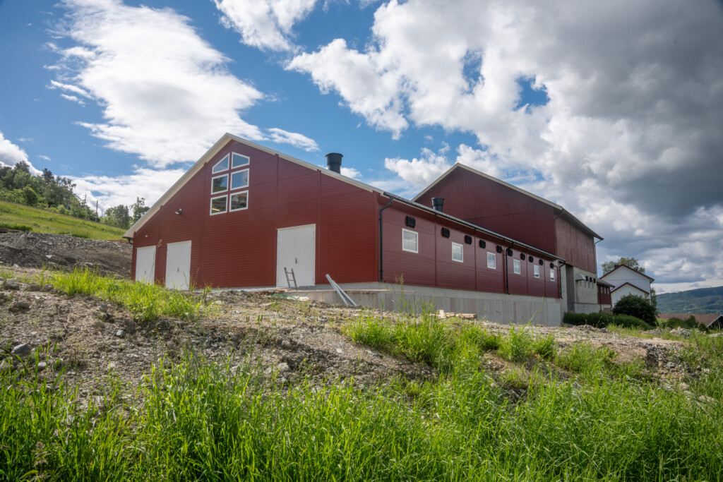 Thorvald Kornerud. Melkekufjøs levert av Fjøsysstemer Bygg. Tranby, juni 2026