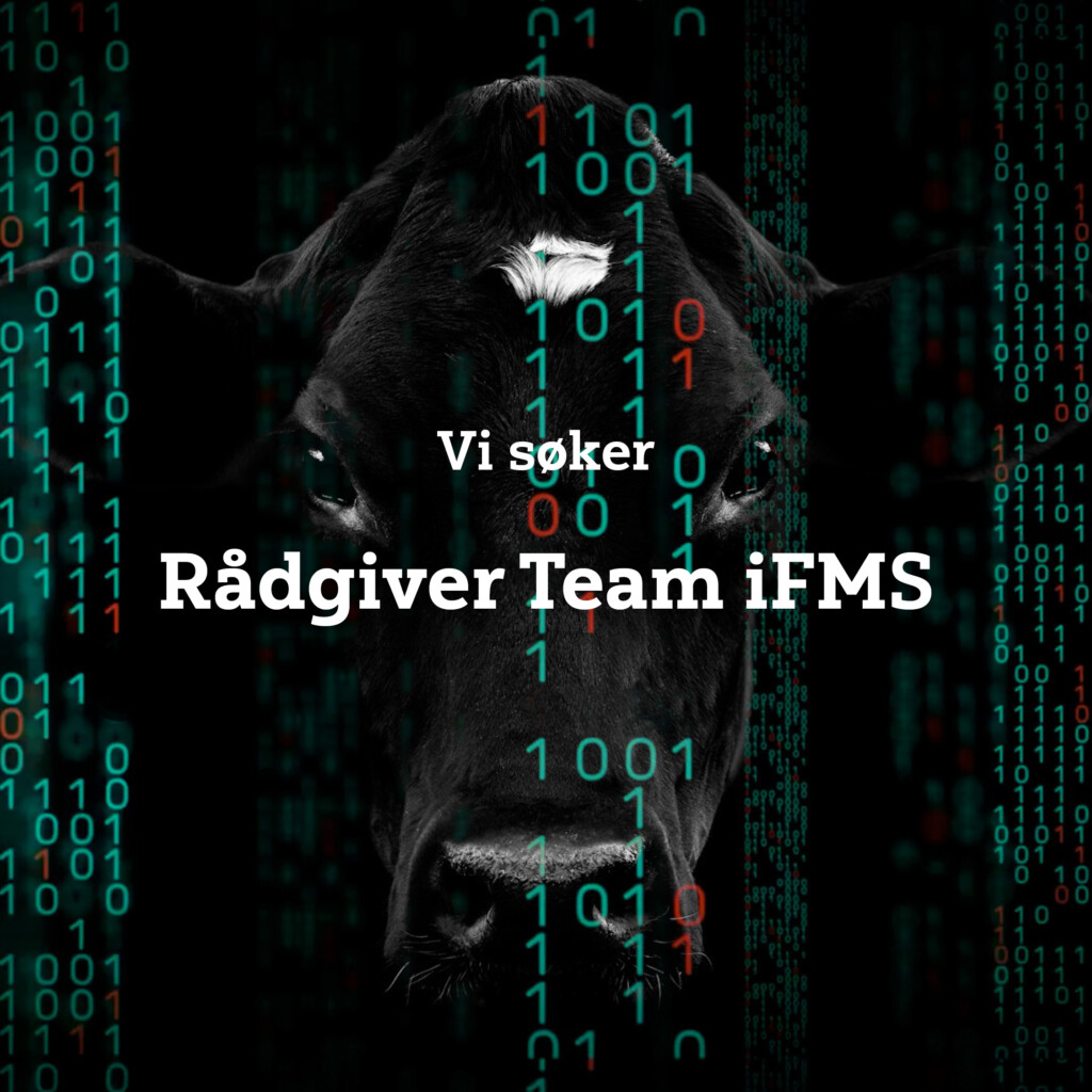 Rådgiver iFMS